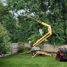 Best Lawn Irrigation Installation and Maintenance  in Greeneville, TN