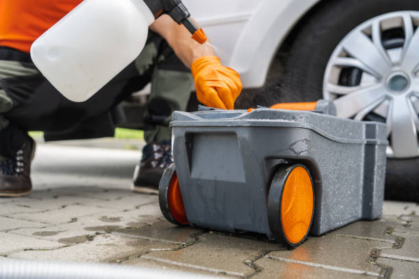 Best Tree Maintenance Programs  in Greeneville, TN