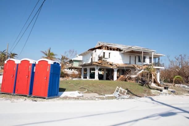 Best Utility Line Clearance  in Greeneville, TN